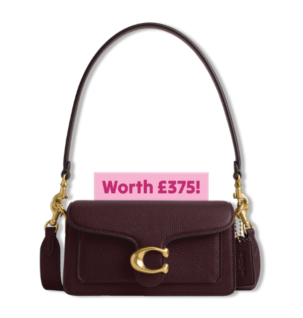 Coach bag worth £375